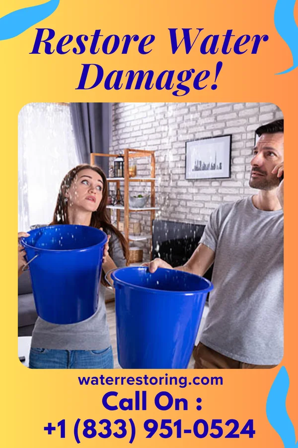 water restoration Pro Flood Damage Team Stony Point