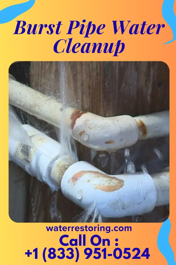 Burst Pipe Water Cleanup in Stony Point, MI