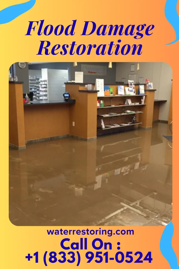 Flood Damage Restoration in Stony Point, MI