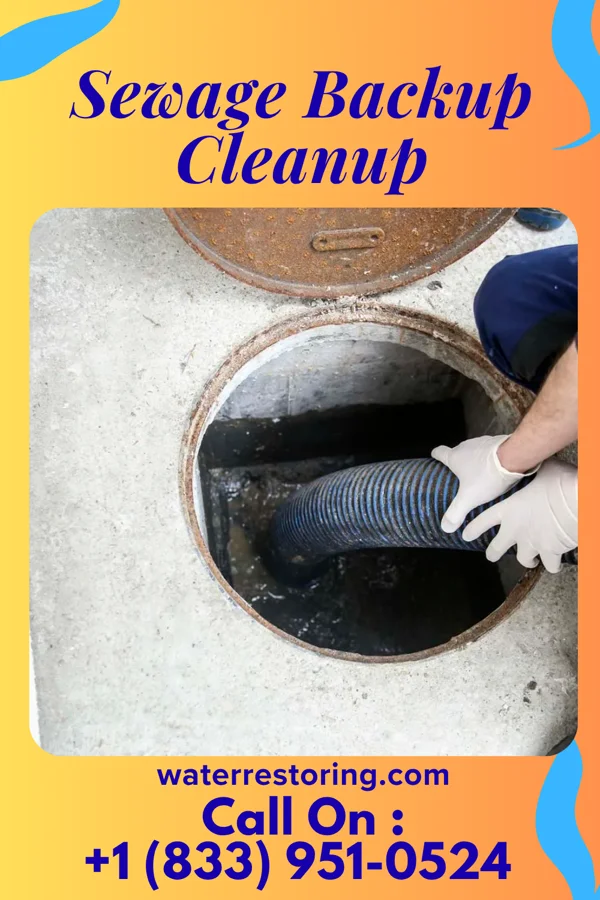 Sewage Backup Cleanup in Stony Point, MI