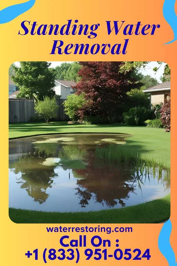 Standing Water Removal in Stony Point, MI